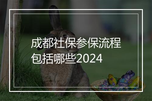 成都社保参保流程包括哪些2024