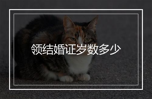 领结婚证岁数多少