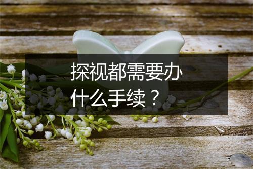 探视都需要办什么手续？
