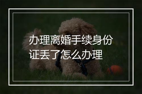 办理离婚手续身份证丢了怎么办理