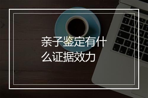 亲子鉴定有什么证据效力