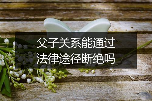 父子关系能通过法律途径断绝吗