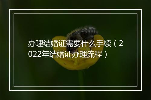 办理结婚证需要什么手续（2022年结婚证办理流程）
