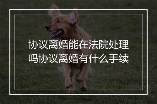 协议离婚能在法院处理吗协议离婚有什么手续