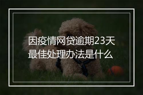 因疫情网贷逾期23天最佳处理办法是什么