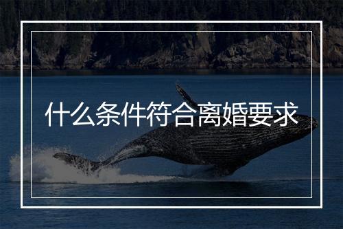什么条件符合离婚要求