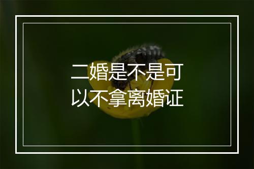 二婚是不是可以不拿离婚证