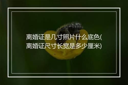 离婚证是几寸照片什么底色(离婚证尺寸长宽是多少厘米)