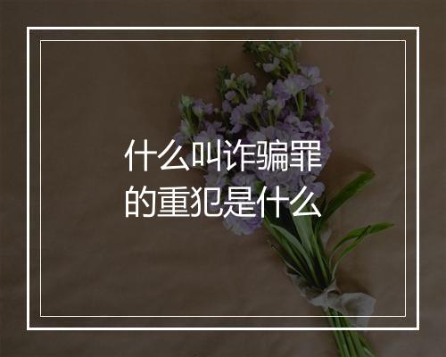 什么叫诈骗罪的重犯是什么