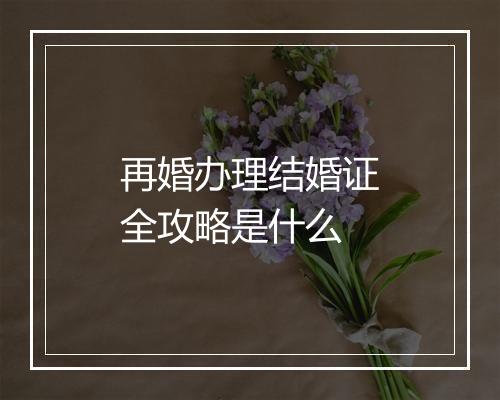 再婚办理结婚证全攻略是什么