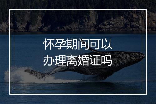 怀孕期间可以办理离婚证吗