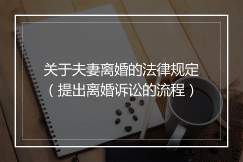 关于夫妻离婚的法律规定（提出离婚诉讼的流程）
