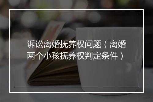 诉讼离婚抚养权问题（离婚两个小孩抚养权判定条件）