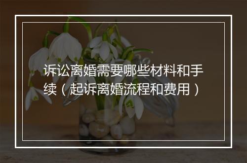诉讼离婚需要哪些材料和手续（起诉离婚流程和费用）