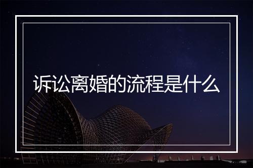 诉讼离婚的流程是什么
