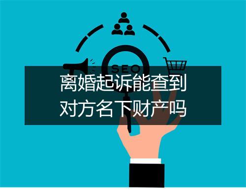 离婚起诉能查到对方名下财产吗