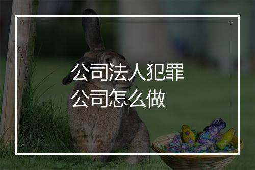 公司法人犯罪公司怎么做