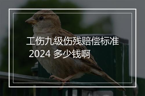 工伤九级伤残赔偿标准 2024 多少钱啊