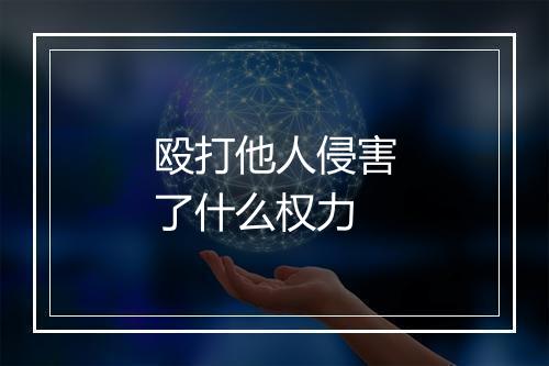 殴打他人侵害了什么权力