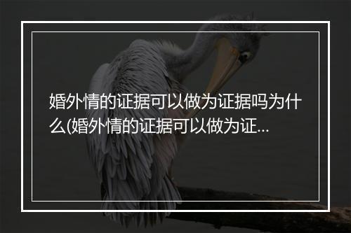 婚外情的证据可以做为证据吗为什么(婚外情的证据可以做为证据吗)