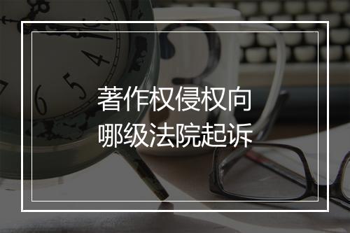 著作权侵权向哪级法院起诉