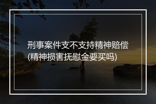 刑事案件支不支持精神赔偿(精神损害抚慰金要买吗)