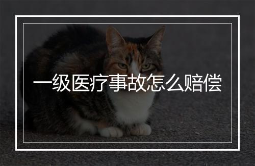 一级医疗事故怎么赔偿