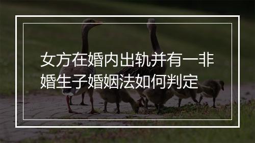 女方在婚内出轨并有一非婚生子婚姻法如何判定