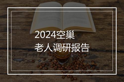 2024空巢老人调研报告