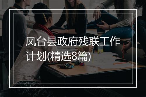 凤台县政府残联工作计划(精选8篇)