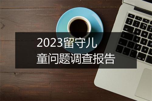 2023留守儿童问题调查报告