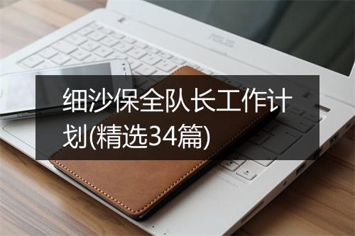 细沙保全队长工作计划(精选34篇)