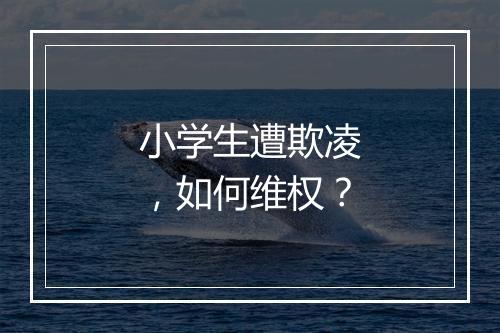 小学生遭欺凌，如何维权？