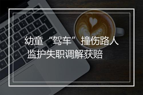 幼童“驾车”撞伤路人 监护失职调解获赔