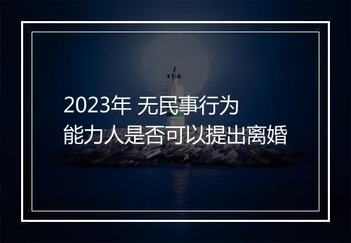 2023年 无民事行为能力人是否可以提出离婚