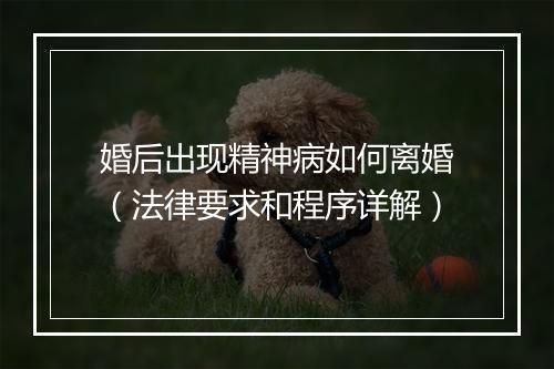 婚后出现精神病如何离婚（法律要求和程序详解）