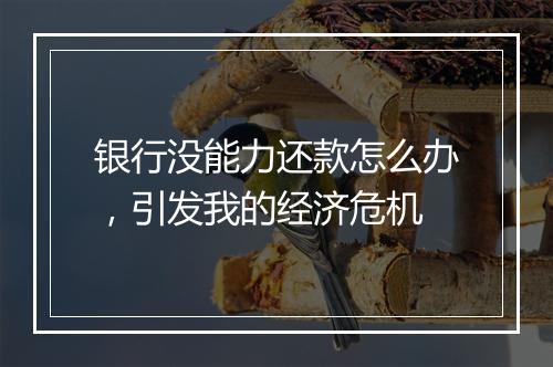 银行没能力还款怎么办，引发我的经济危机