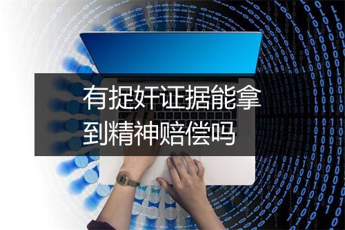 有捉奸证据能拿到精神赔偿吗
