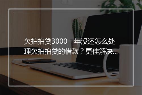 欠拍拍贷3000一年没还怎么处理欠拍拍贷的借款？更佳解决方案详解