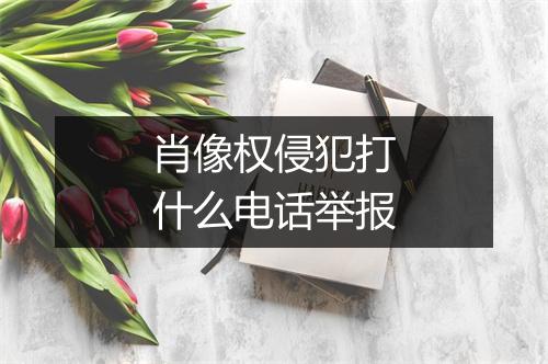 肖像权侵犯打什么电话举报