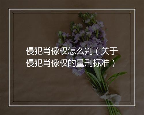 侵犯肖像权怎么判（关于侵犯肖像权的量刑标准）