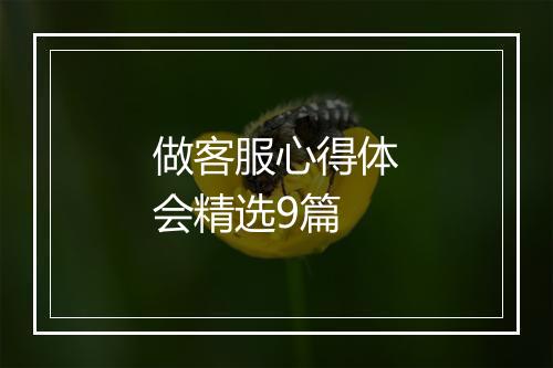 做客服心得体会精选9篇