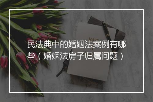 民法典中的婚姻法案例有哪些（婚姻法房子归属问题）