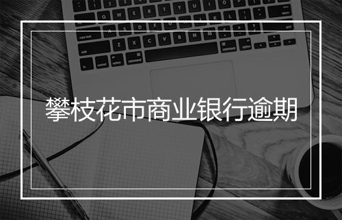 攀枝花市商业银行逾期
