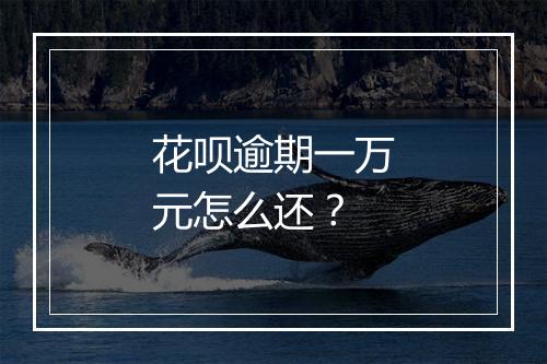 花呗逾期一万元怎么还？