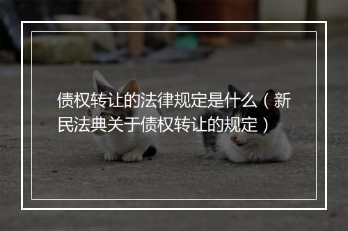 债权转让的法律规定是什么（新民法典关于债权转让的规定）