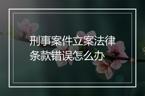 刑事案件立案法律条款错误怎么办