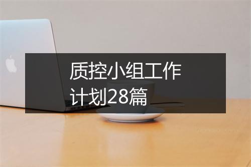 质控小组工作计划28篇