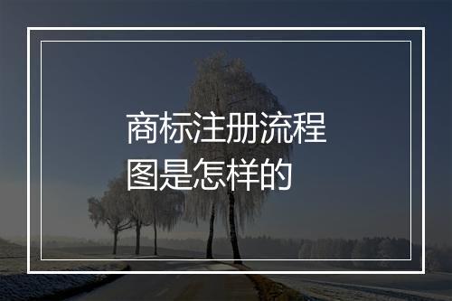 商标注册流程图是怎样的