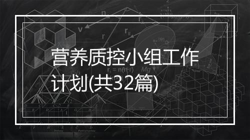 营养质控小组工作计划(共32篇)